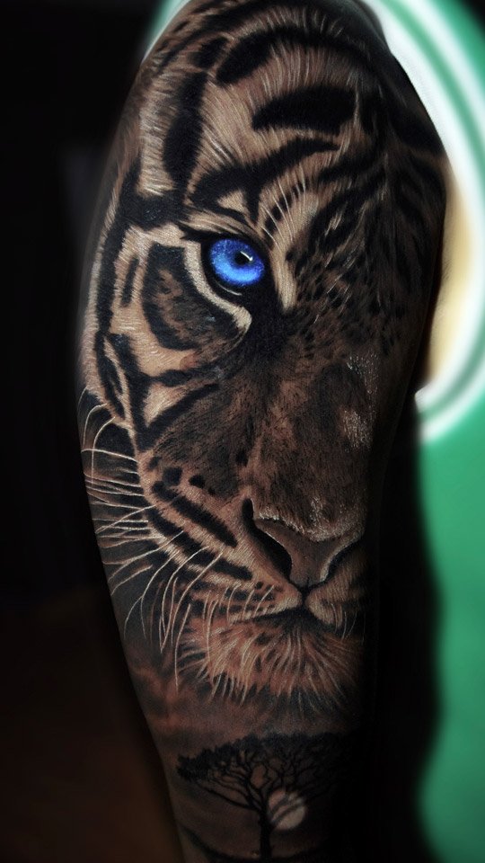 Tatuagem realista de tigre com olhos azuis no braço, em preto e cinza, feita pelo Chris Tatuador